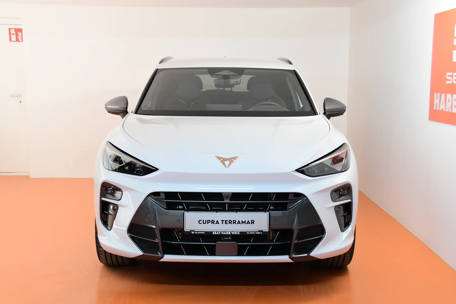 Bild eines Terramar VZ e-HYBRID 272 PS DSG