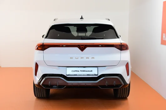 Bild eines Terramar VZ e-HYBRID 272 PS DSG