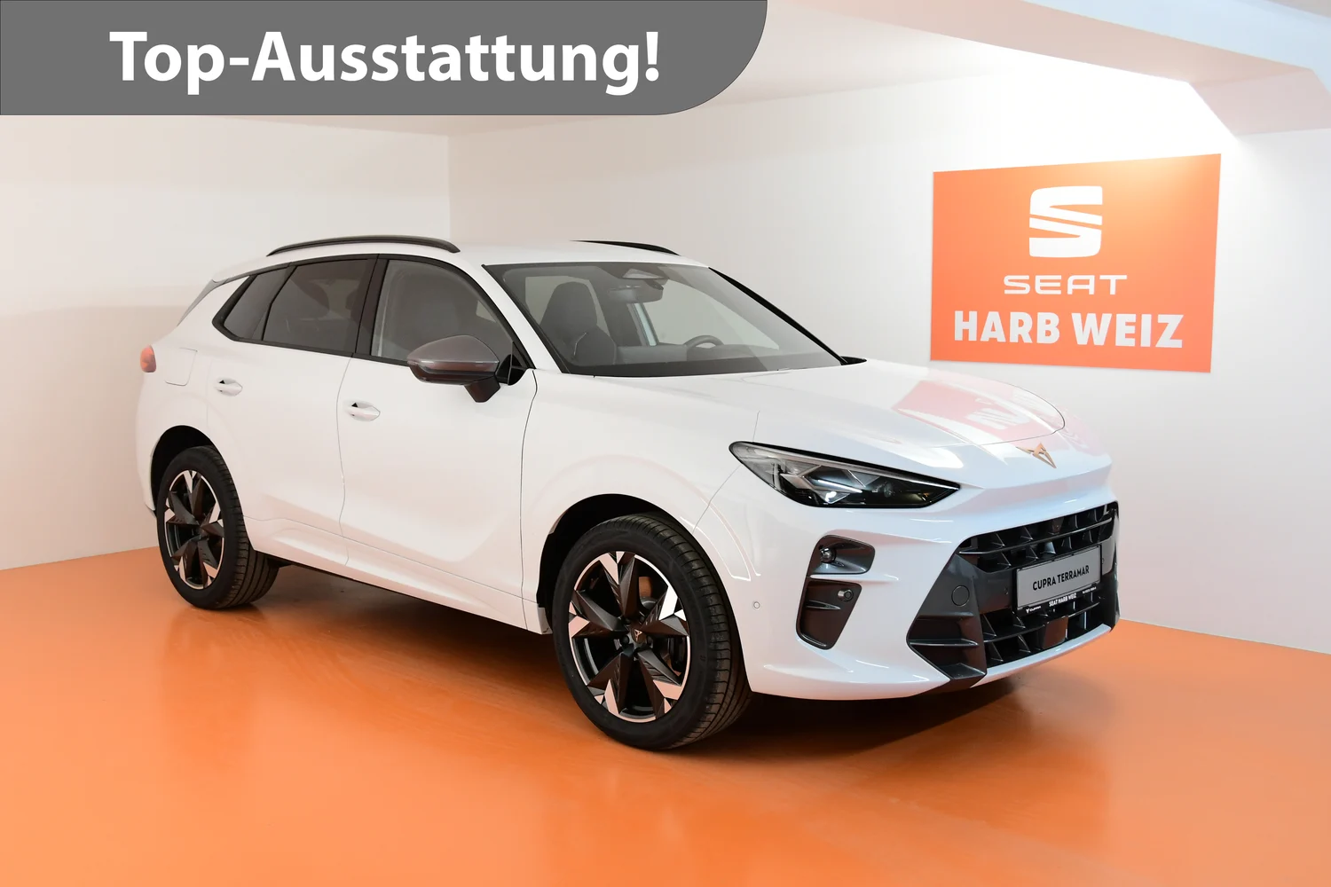 Bild eines Terramar VZ e-HYBRID 272 PS DSG