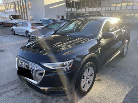 Audi e-tron 50 quattro 230 kW Business