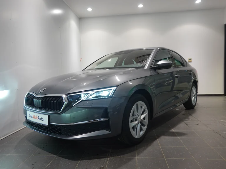 Škoda Octavia
Selection 2.0 TDI DSG