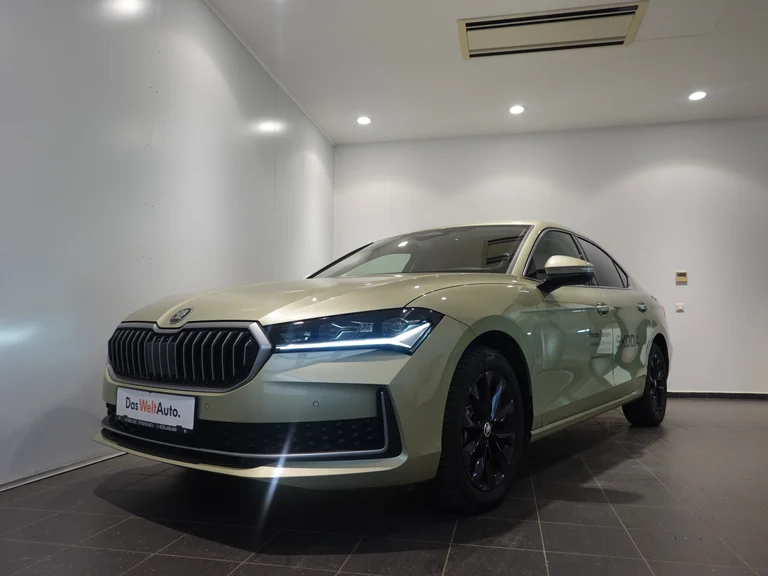 Škoda Superb
L&K 2.0 TDI 4x4 DSG