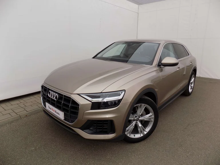 Audi Q8
50 TDI quattro