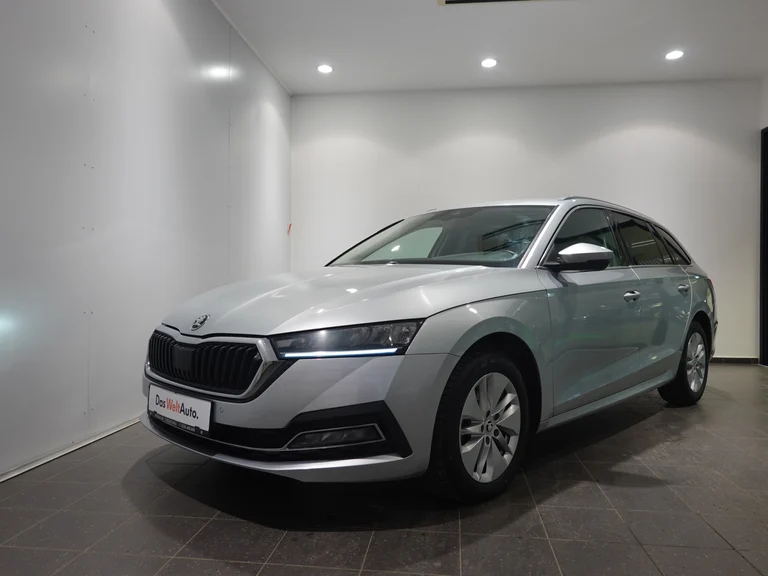 Škoda Octavia Combi Amb. 2.0 TDI Small Fleet