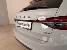 Škoda Superb Combi Sportline 4x4 in hellgrau - metallic