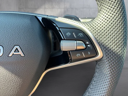 Bild eines Škoda Kamiq Monte Carlo TSI DSG