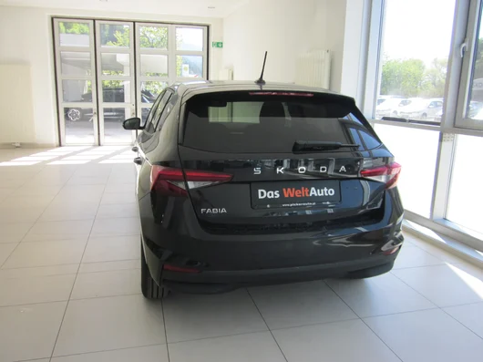 Bild eines Fabia Selection TSI