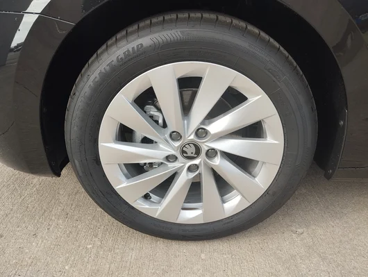 Bild eines Škoda Octavia Selection TSI mHEV DSG