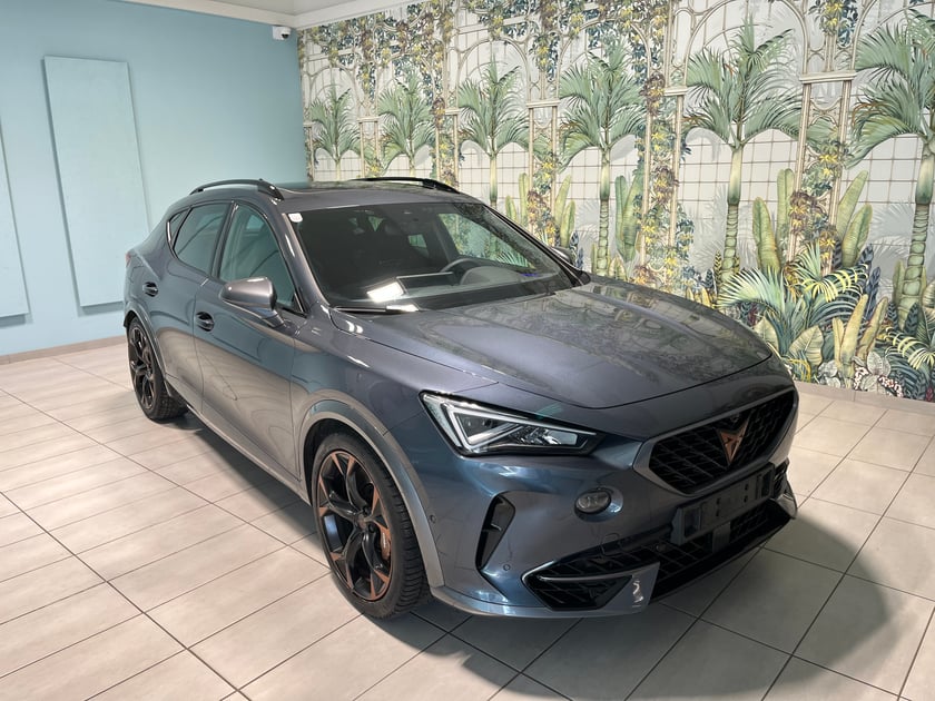 SEAT Formentor VZ 2.0 TSI 310 PS DSG 4Drive