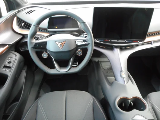 Bild eines Tavascan DEAL 210kW/286PS