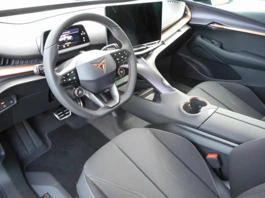 Bild eines Tavascan DEAL 210kW/286PS