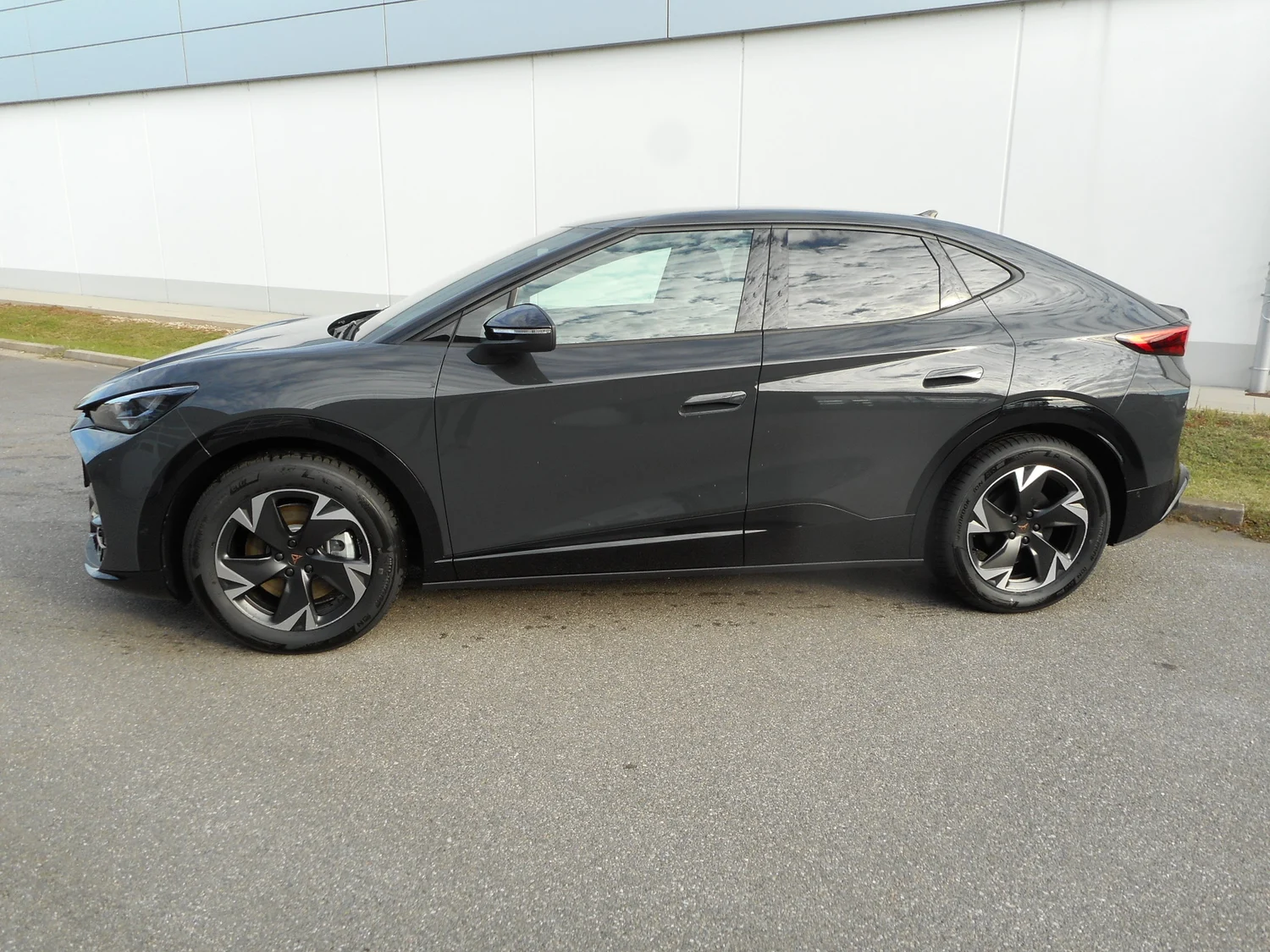 Bild eines Tavascan DEAL 210kW/286PS