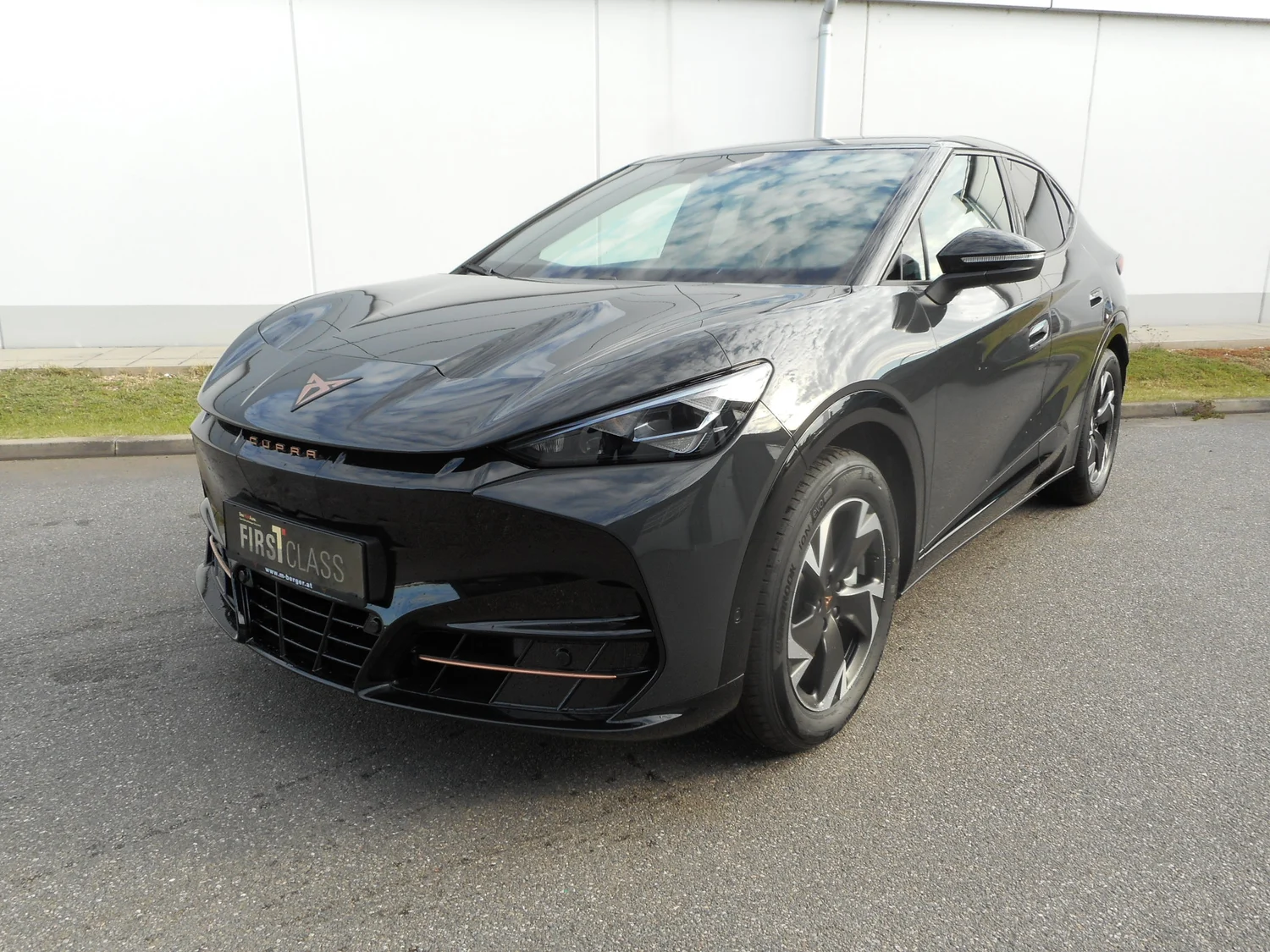 Bild eines Tavascan DEAL 210kW/286PS