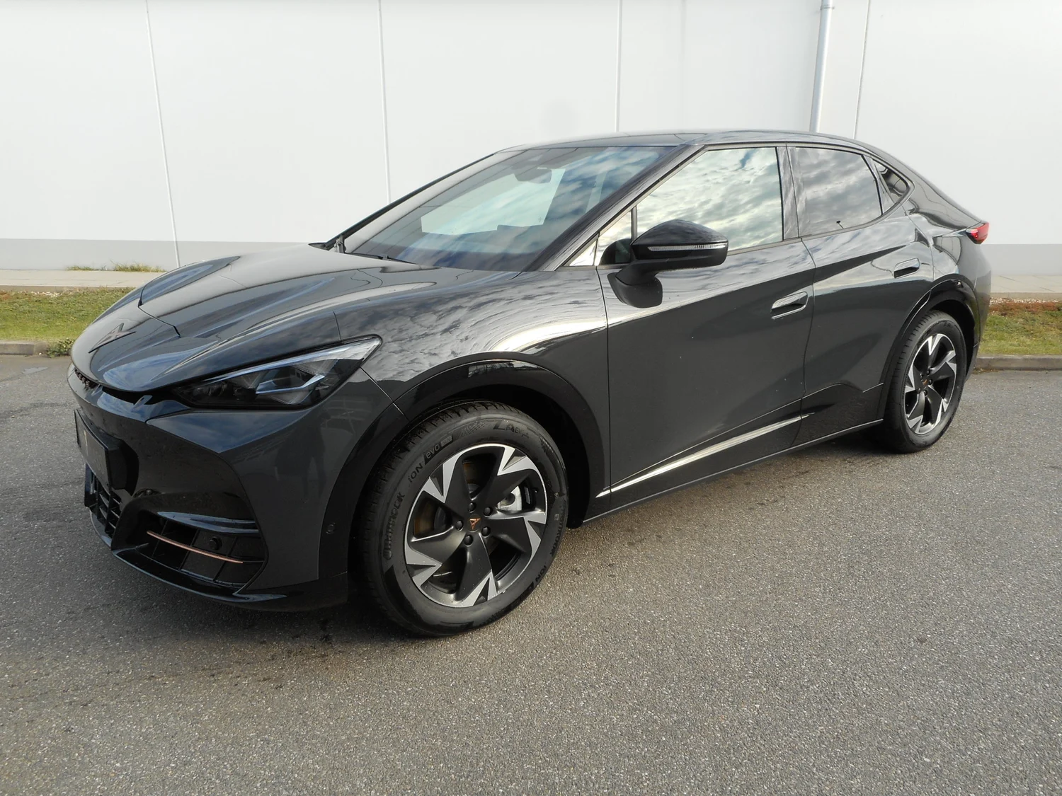 Bild eines Tavascan DEAL 210kW/286PS