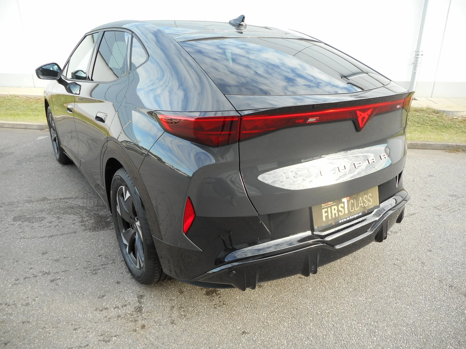 Bild eines Tavascan DEAL 210kW/286PS