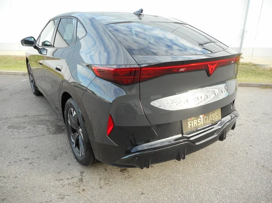 Bild eines Tavascan DEAL 210kW/286PS