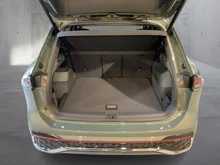 VW Tiguan Sport TDI DSG in Cipressino-Grün Metallic