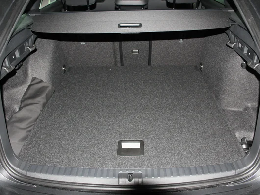 Bild eines Octavia Combi RS