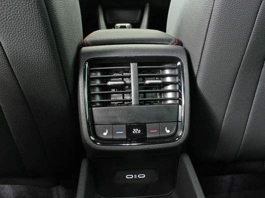 Bild eines Octavia Combi RS