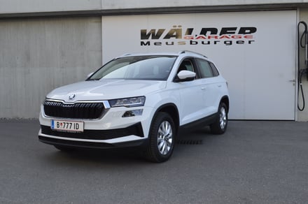 Škoda Karoq 4x4 Selection TDI DSG