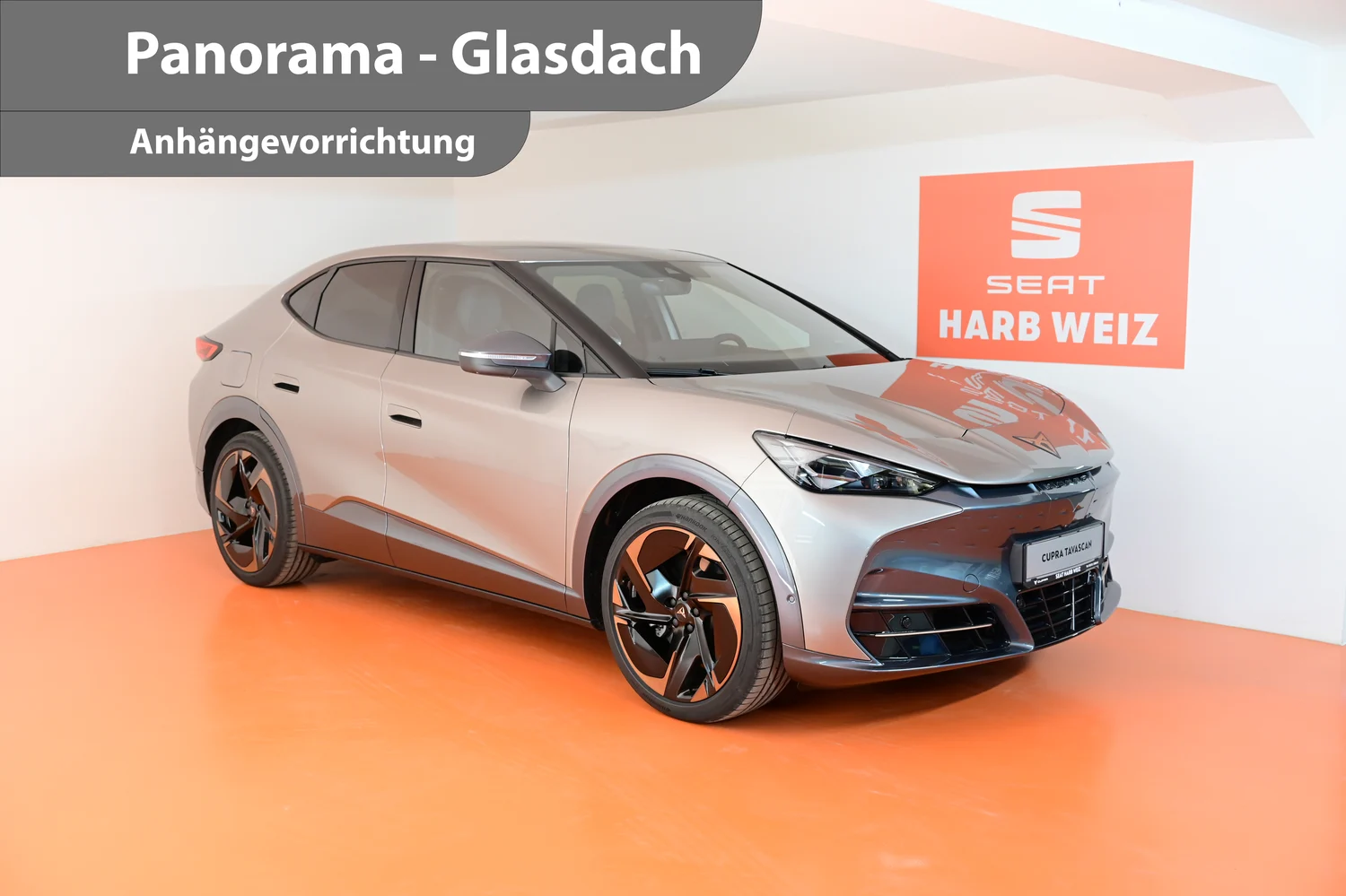 Bild eines Tavascan VZ Extreme 4Drive 250kW/340PS