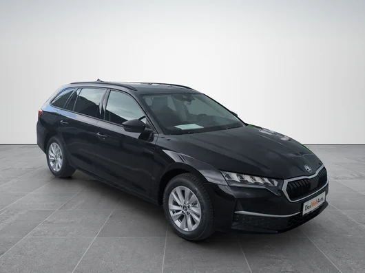 Bild eines Octavia Combi Selection TDI DSG
