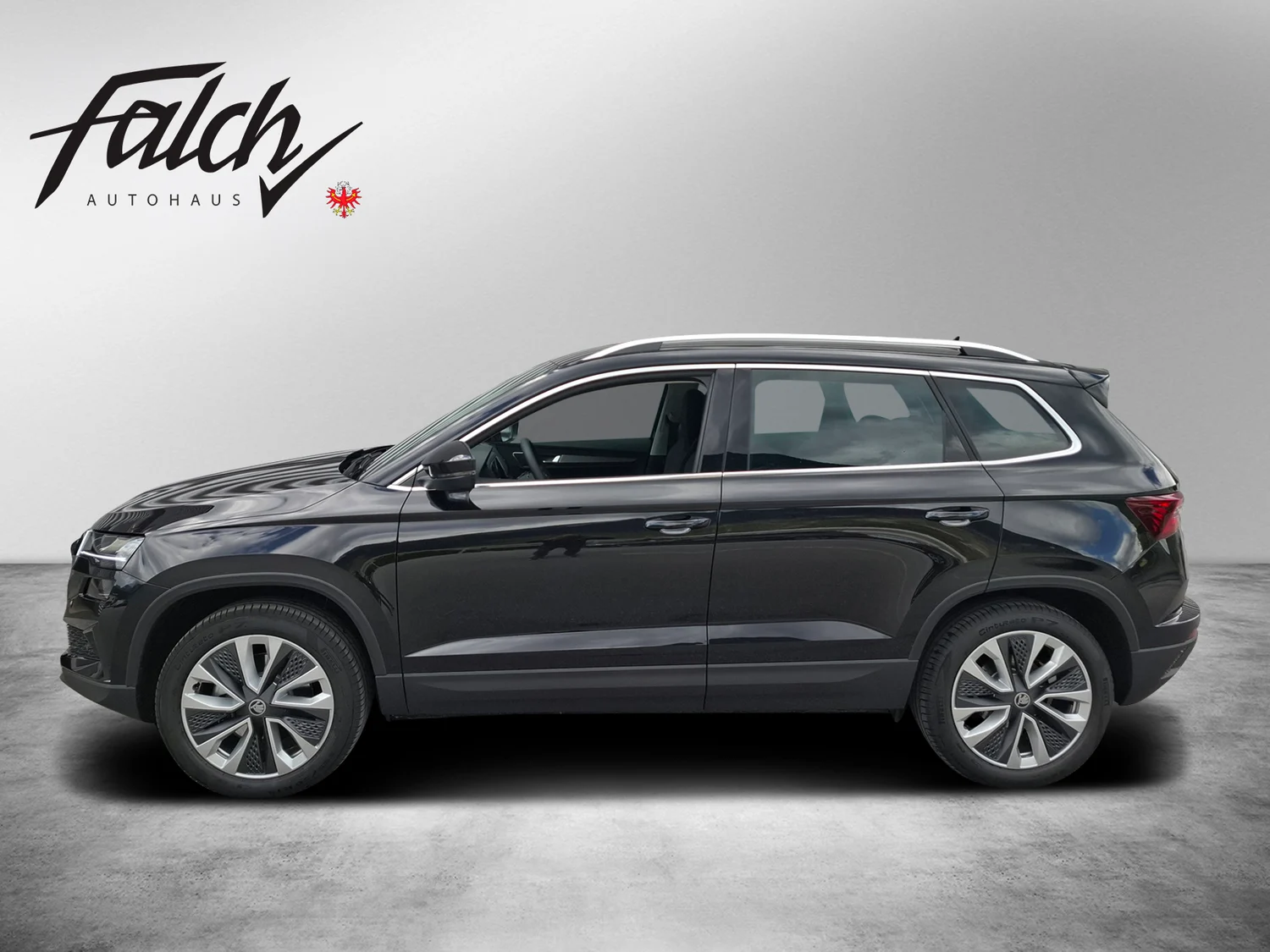 Bild eines Karoq 4x4 Selection TDI DSG