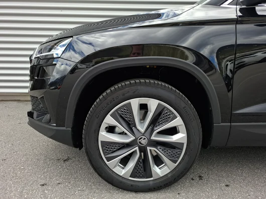Bild eines Karoq 4x4 Selection TDI DSG