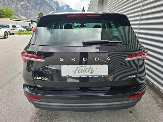Bild eines Karoq 4x4 Selection TDI DSG