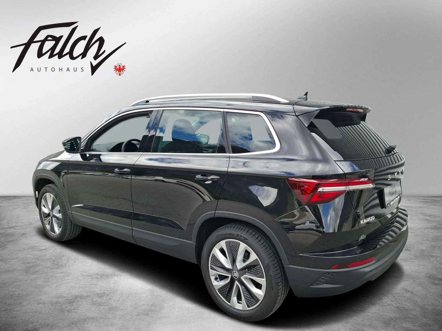 Bild eines Karoq 4x4 Selection TDI DSG