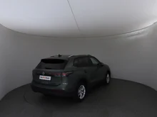 VW Tiguan Friends eTSI DSG in Cipressino-Grün Metallic