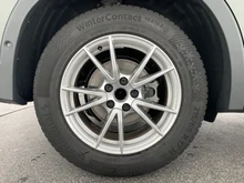 VW Tiguan Friends eTSI DSG in Cipressino-Grün Metallic