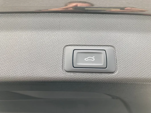 Bild eines CUPRA Terramar 2.0 TSI 204 PS DSG 4Drive