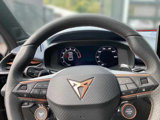 Bild eines CUPRA Terramar 2.0 TSI 204 PS DSG 4Drive