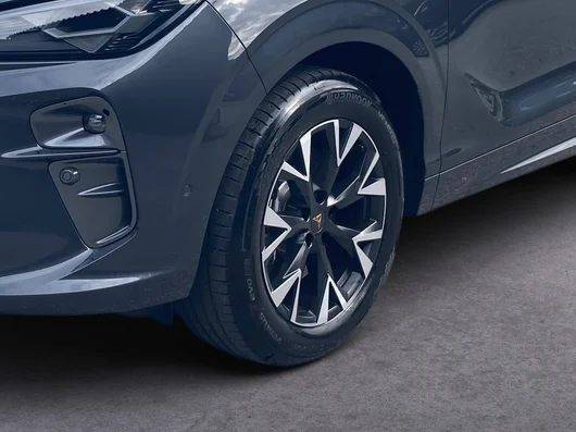 Bild eines CUPRA Terramar 2.0 TSI 204 PS DSG 4Drive