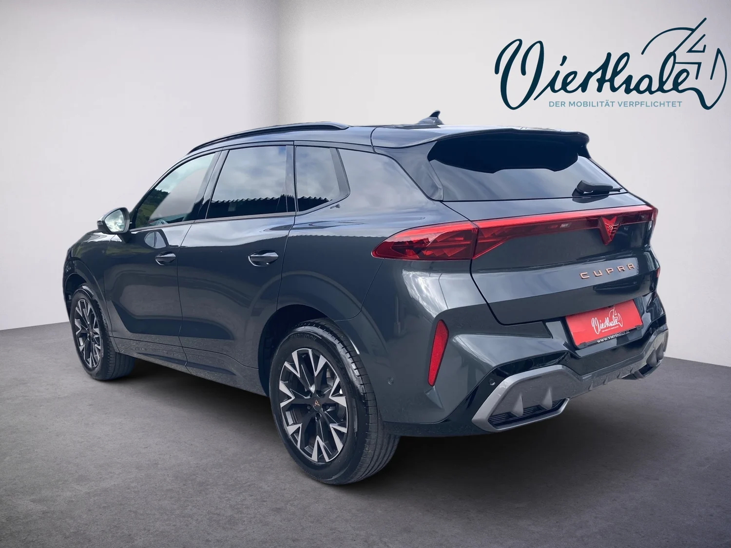 Bild eines CUPRA Terramar 2.0 TSI 204 PS DSG 4Drive