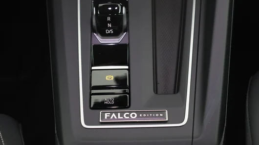 Bild eines Golf Falco Edition mHEV DSG