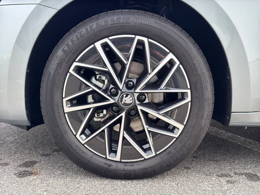 Bild eines Octavia Combi Selection TSI mHEV DSG