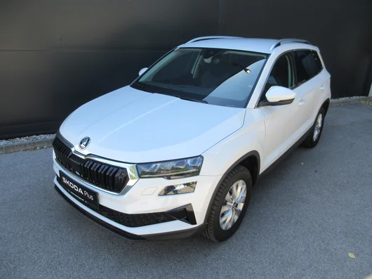 Bild eines Karoq 4x4 Selection TDI DSG