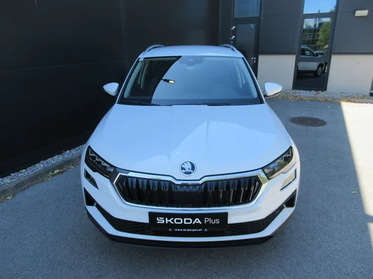 Bild eines Karoq 4x4 Selection TDI DSG