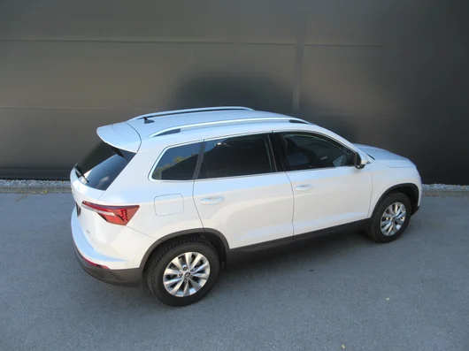 Bild eines Karoq 4x4 Selection TDI DSG