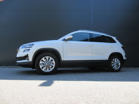 Bild eines Karoq 4x4 Selection TDI DSG