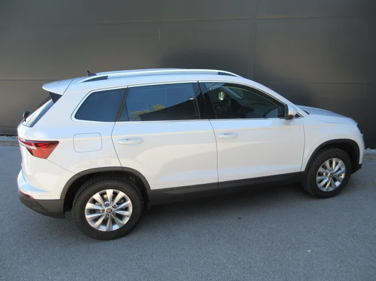 Bild eines Karoq 4x4 Selection TDI DSG