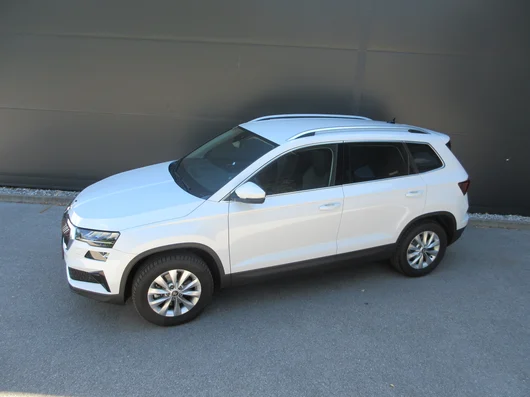 Bild eines Karoq 4x4 Selection TDI DSG