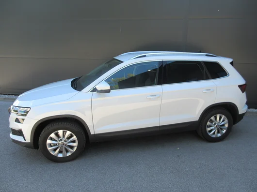 Bild eines Karoq 4x4 Selection TDI DSG