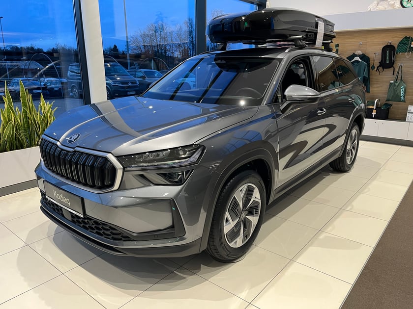 Škoda Kodiaq 4x4 Selection TDI DSG