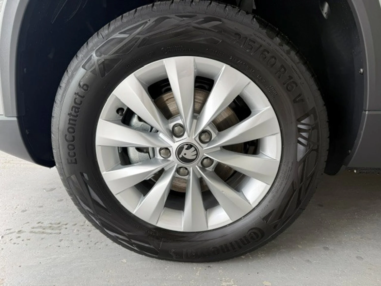 Bild eines Škoda Karoq Selection TSI