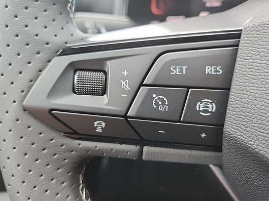 Bild eines Arona Style Edition 1.0 TSI DSG