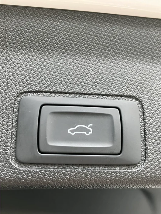 Bild eines CUPRA Terramar 2.0 TSI 204 PS DSG 4Drive