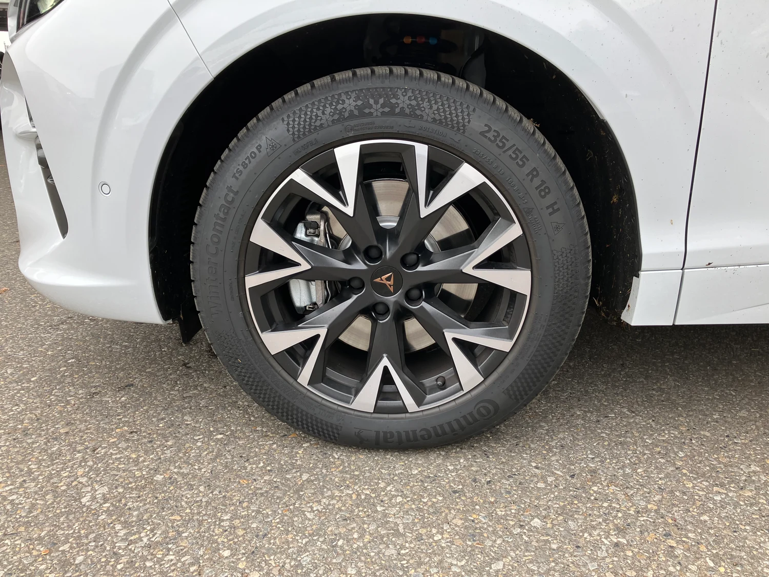 Bild eines CUPRA Terramar 2.0 TSI 204 PS DSG 4Drive